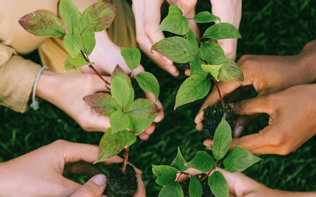 Reciclamos y transformamos residuos en nuevos recursos.